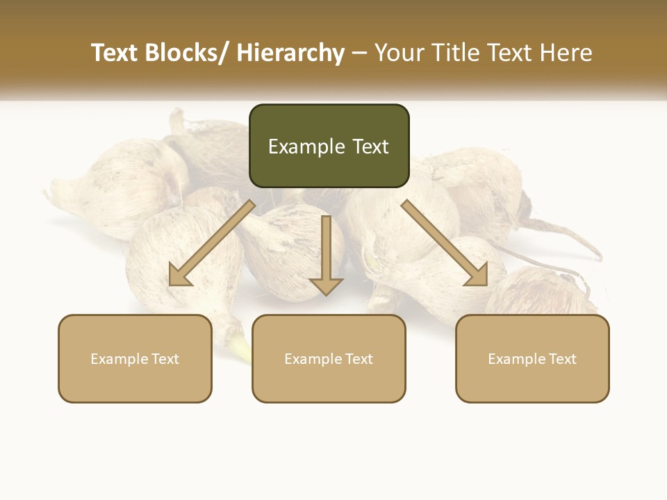 A Bunch Of Garlic On A White Background PowerPoint Template