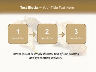 A Bunch Of Garlic On A White Background PowerPoint Template