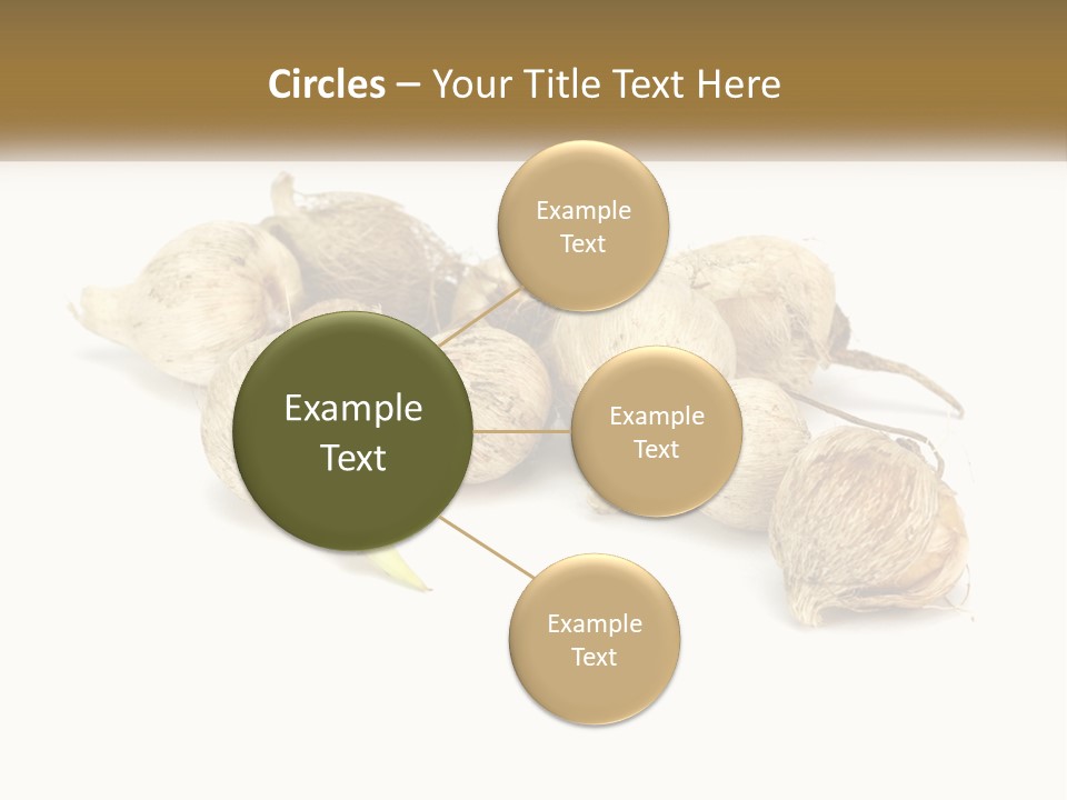 A Bunch Of Garlic On A White Background PowerPoint Template