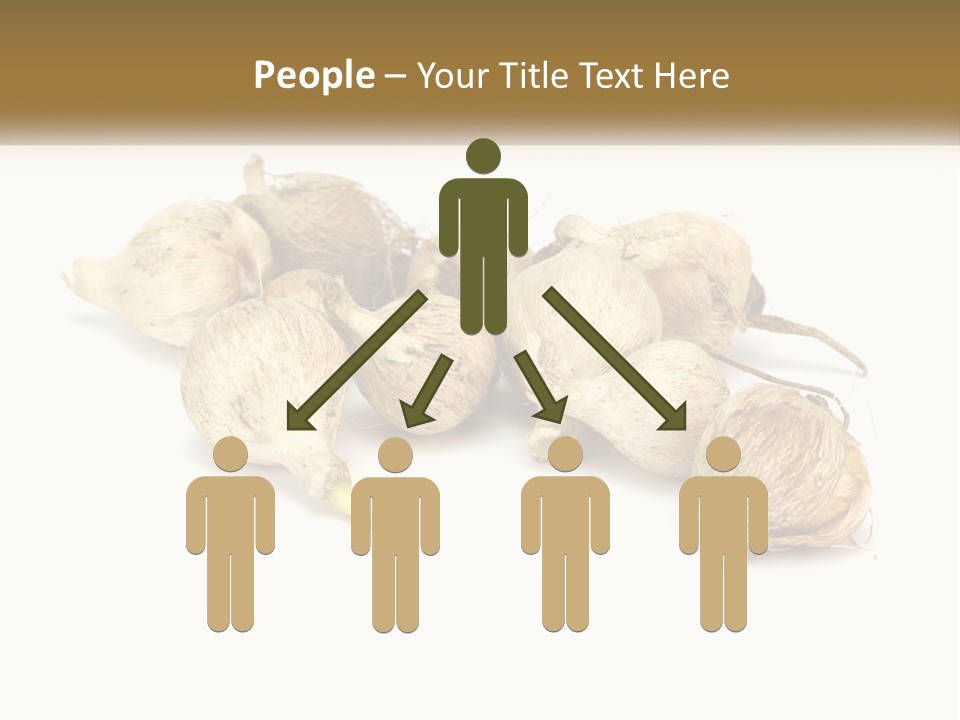 A Bunch Of Garlic On A White Background PowerPoint Template