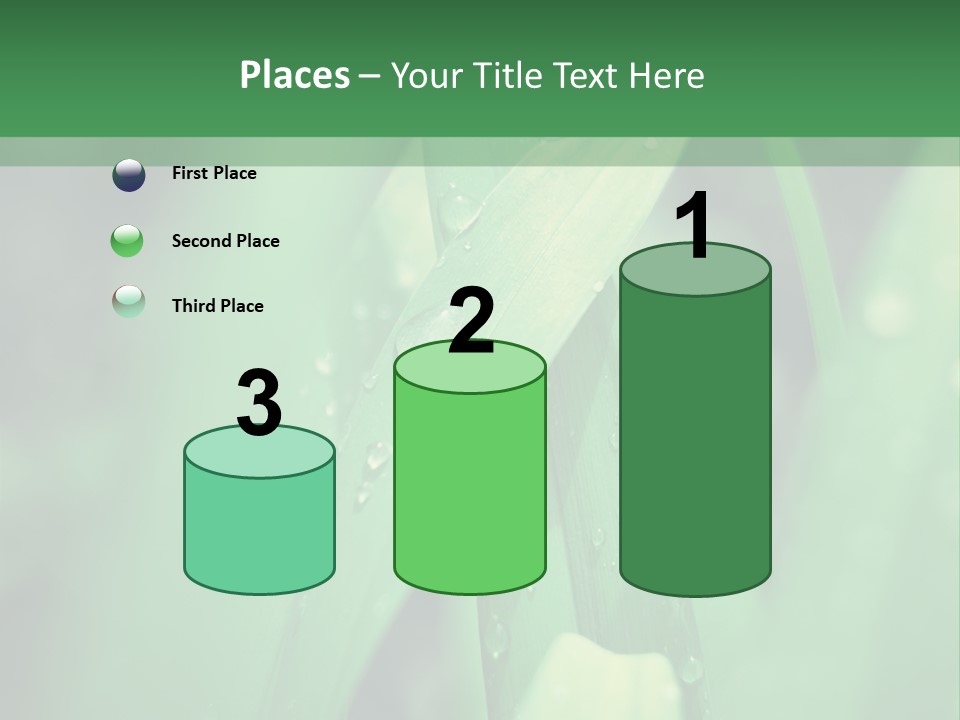 A Green Plant With Drops Of Water On It PowerPoint Template