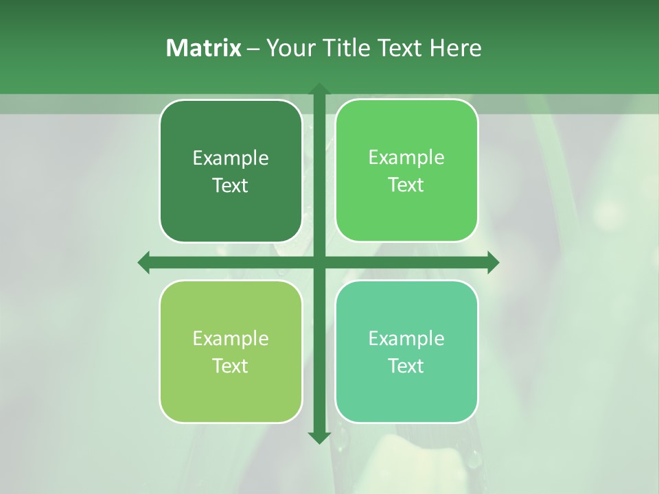 A Green Plant With Drops Of Water On It PowerPoint Template