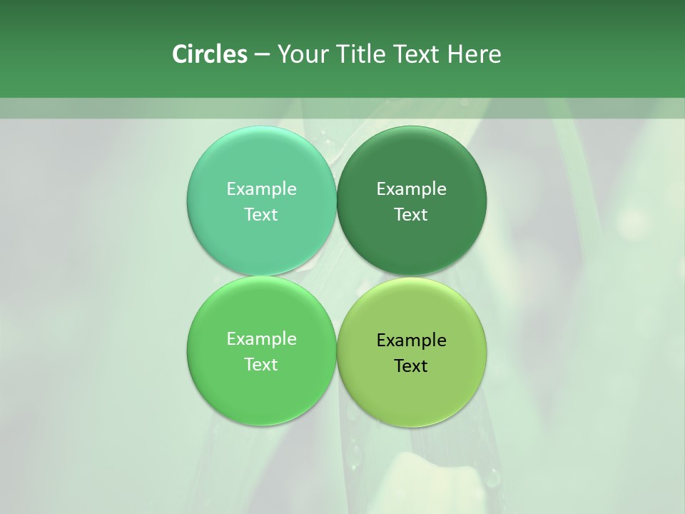 A Green Plant With Drops Of Water On It PowerPoint Template