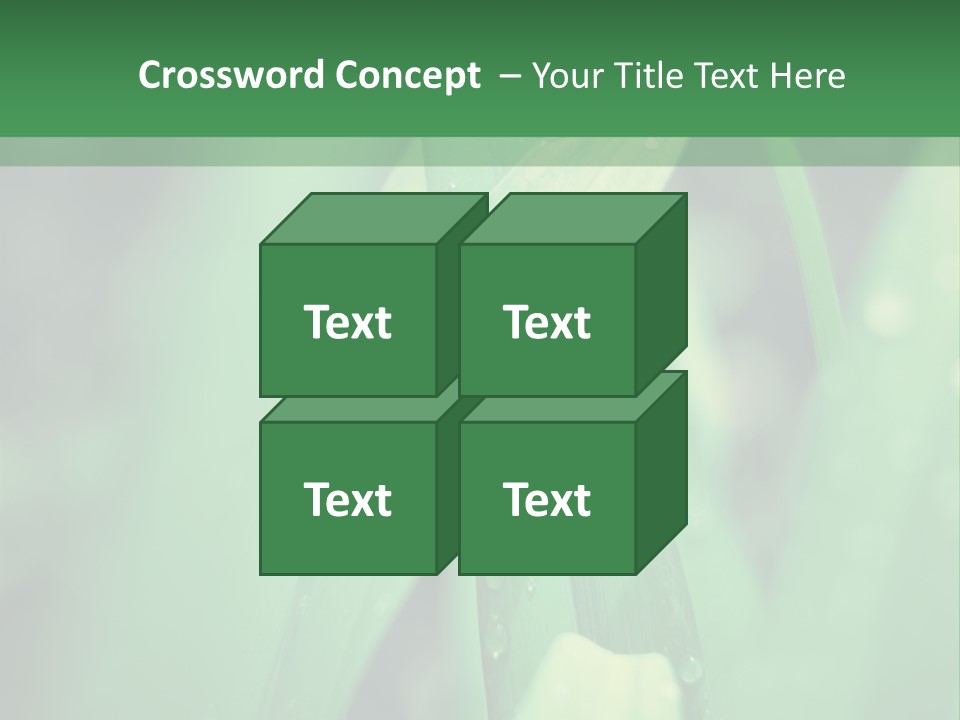 A Green Plant With Drops Of Water On It PowerPoint Template