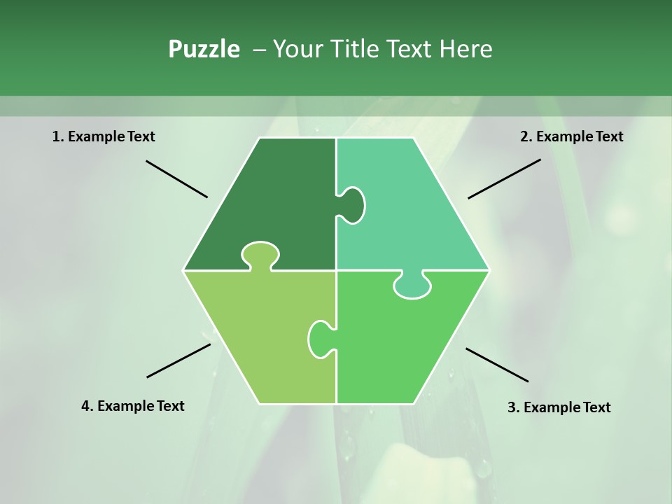 A Green Plant With Drops Of Water On It PowerPoint Template