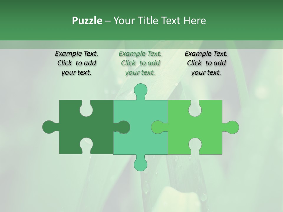 A Green Plant With Drops Of Water On It PowerPoint Template