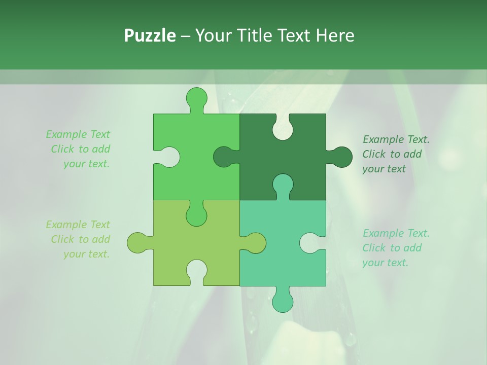 A Green Plant With Drops Of Water On It PowerPoint Template