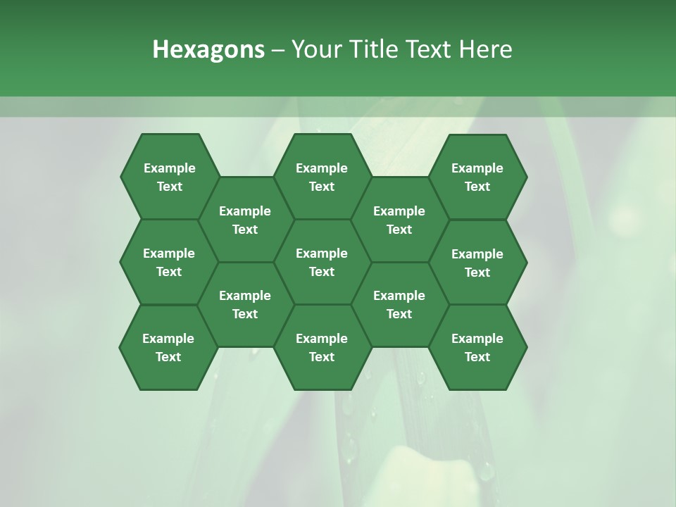 A Green Plant With Drops Of Water On It PowerPoint Template