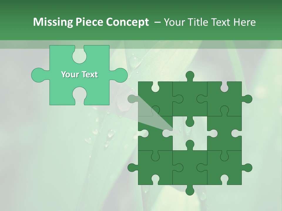 A Green Plant With Drops Of Water On It PowerPoint Template