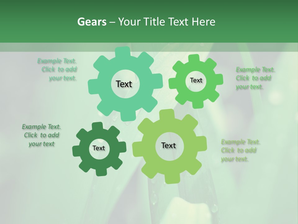 A Green Plant With Drops Of Water On It PowerPoint Template