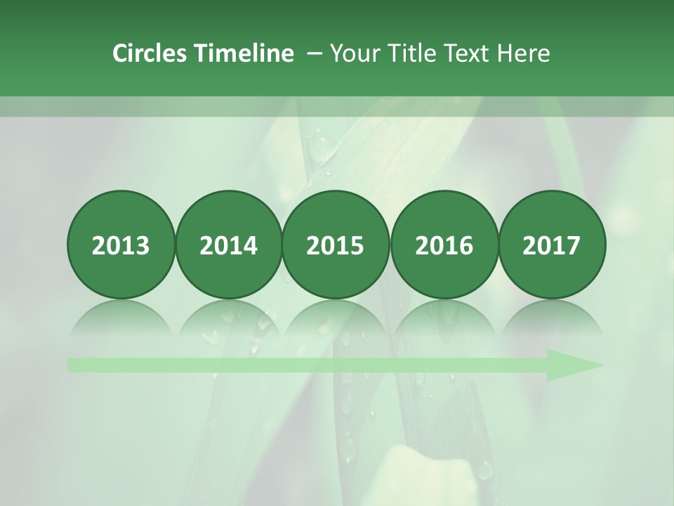 A Green Plant With Drops Of Water On It PowerPoint Template