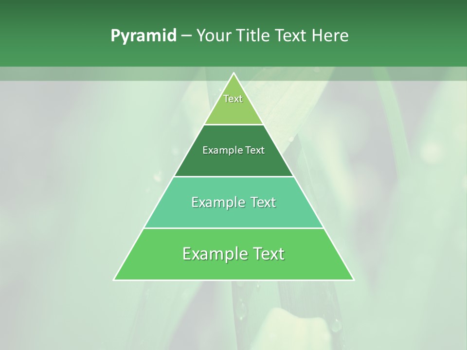 A Green Plant With Drops Of Water On It PowerPoint Template