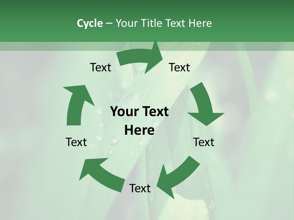 A Green Plant With Drops Of Water On It PowerPoint Template