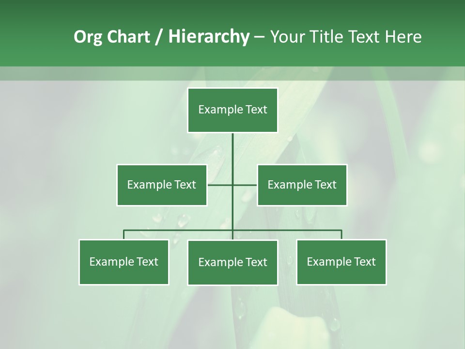 A Green Plant With Drops Of Water On It PowerPoint Template