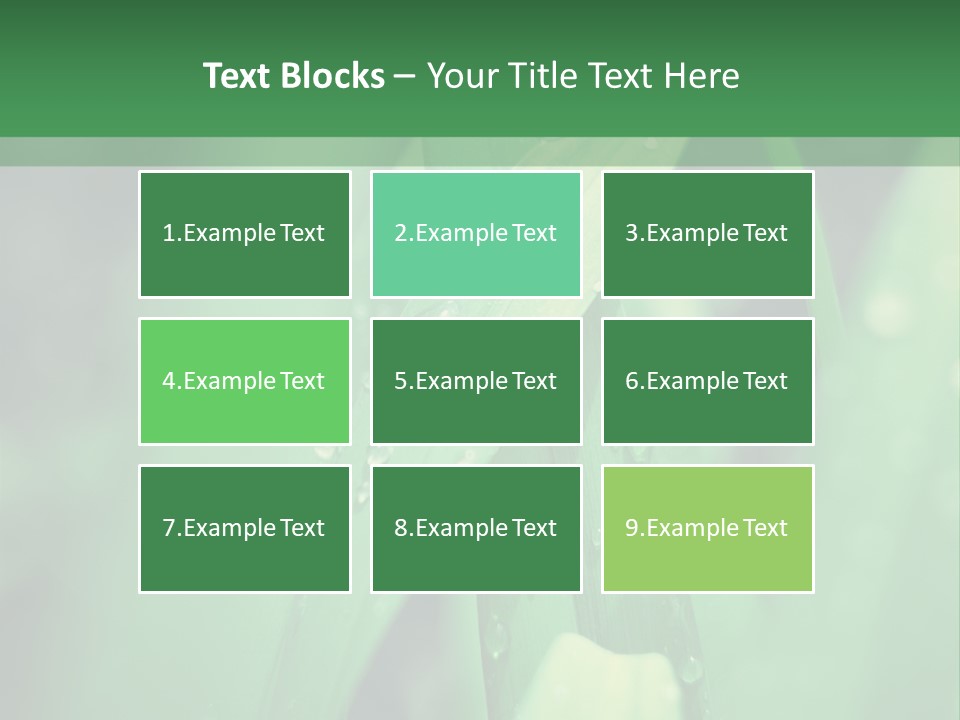 A Green Plant With Drops Of Water On It PowerPoint Template