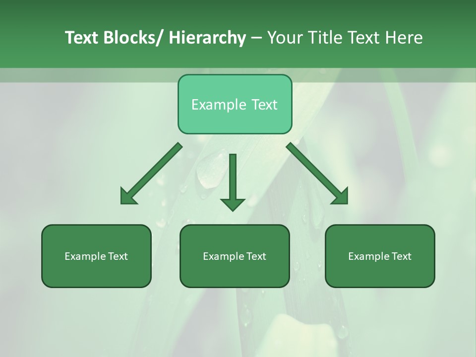 A Green Plant With Drops Of Water On It PowerPoint Template