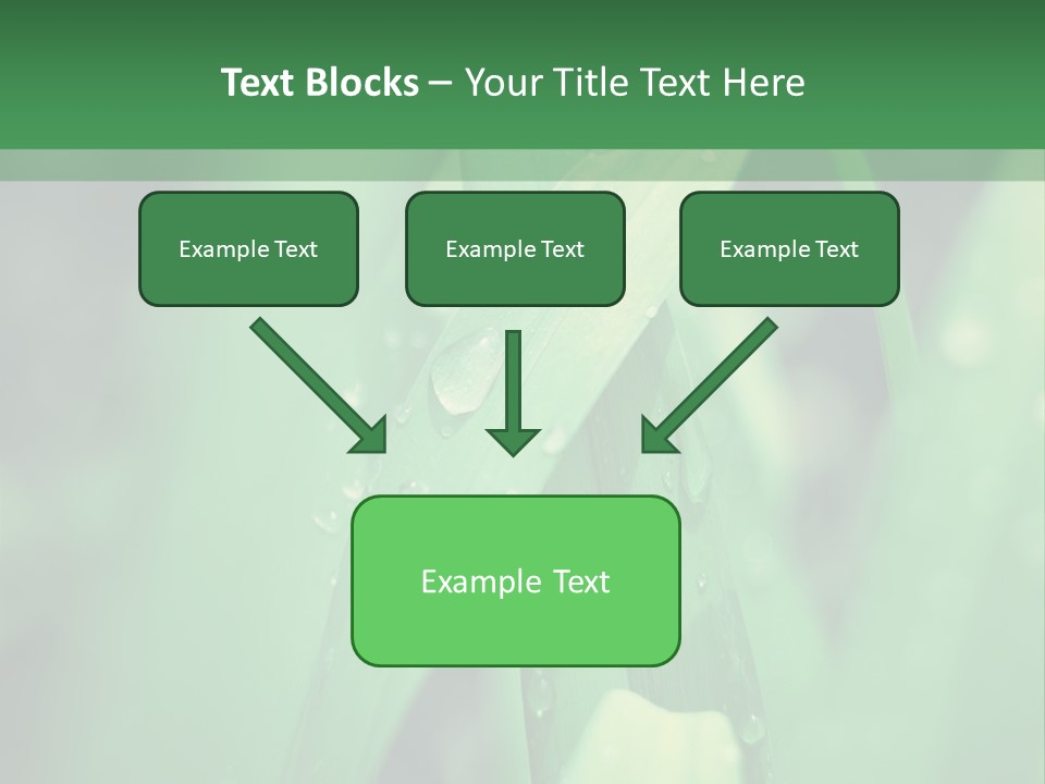 A Green Plant With Drops Of Water On It PowerPoint Template