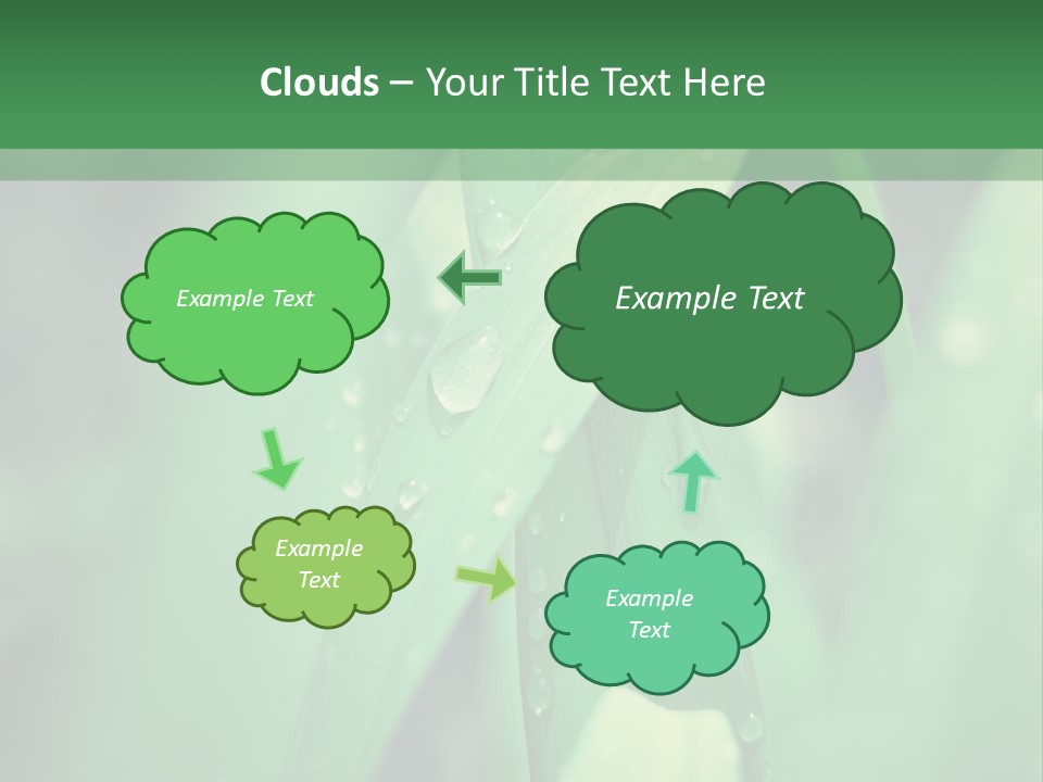 A Green Plant With Drops Of Water On It PowerPoint Template