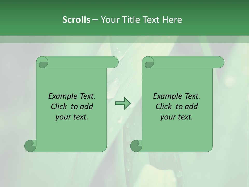 A Green Plant With Drops Of Water On It PowerPoint Template