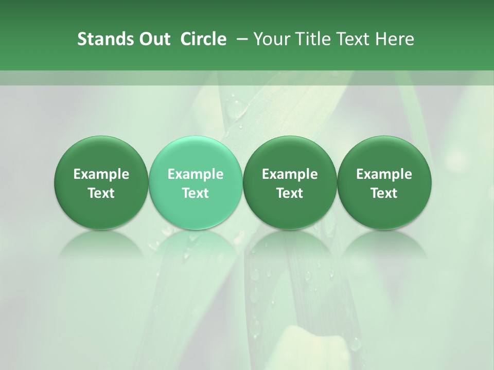 A Green Plant With Drops Of Water On It PowerPoint Template