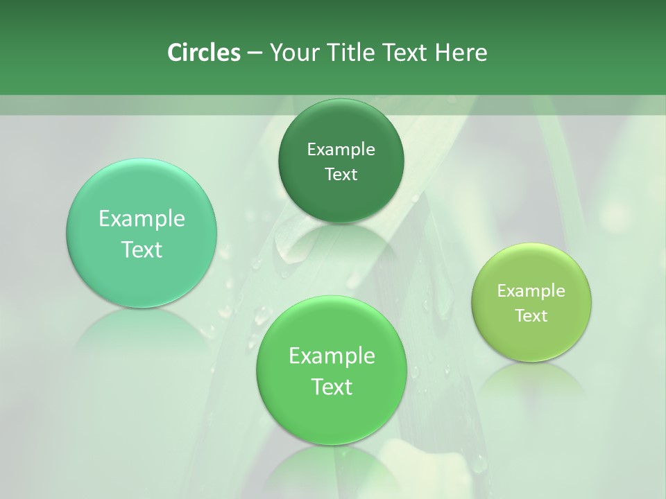 A Green Plant With Drops Of Water On It PowerPoint Template