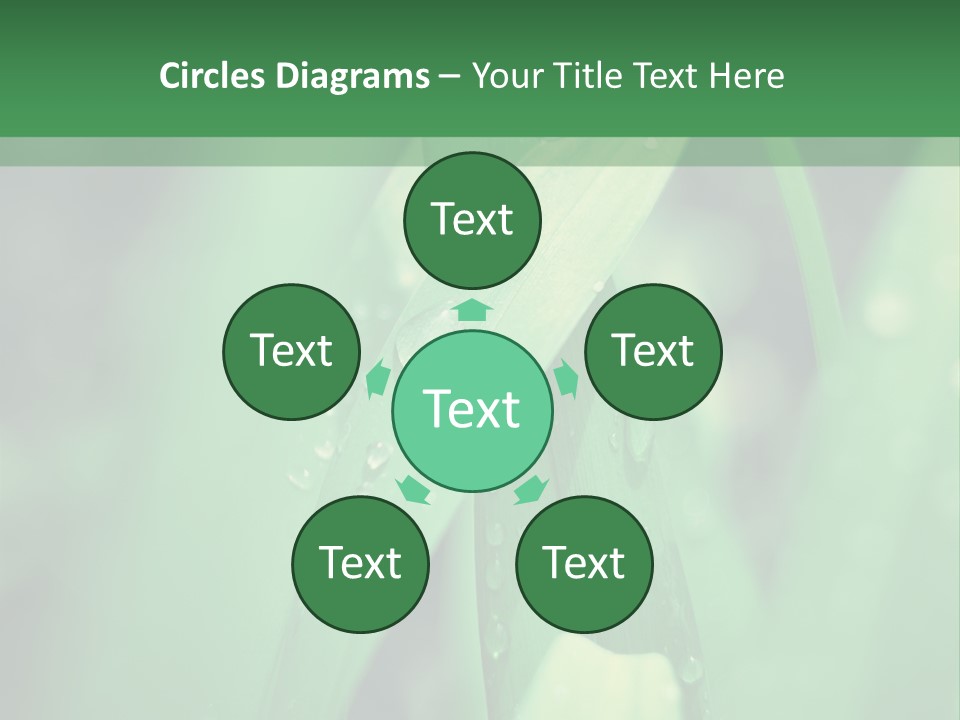 A Green Plant With Drops Of Water On It PowerPoint Template