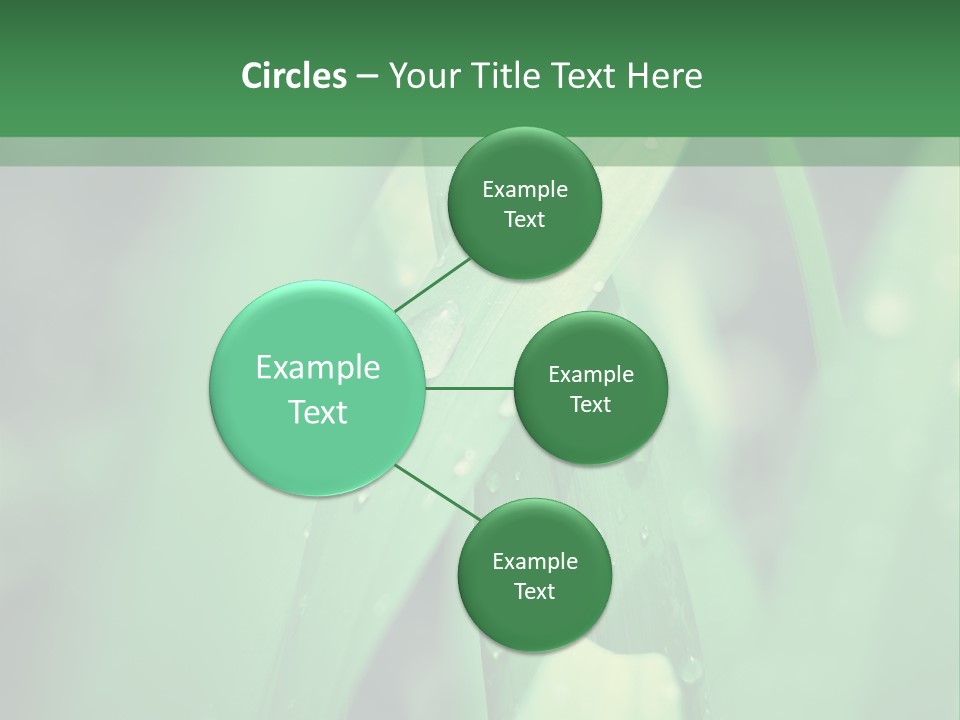 A Green Plant With Drops Of Water On It PowerPoint Template