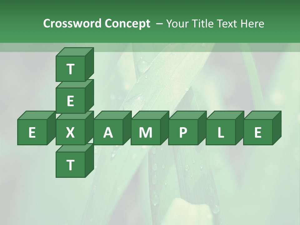 A Green Plant With Drops Of Water On It PowerPoint Template