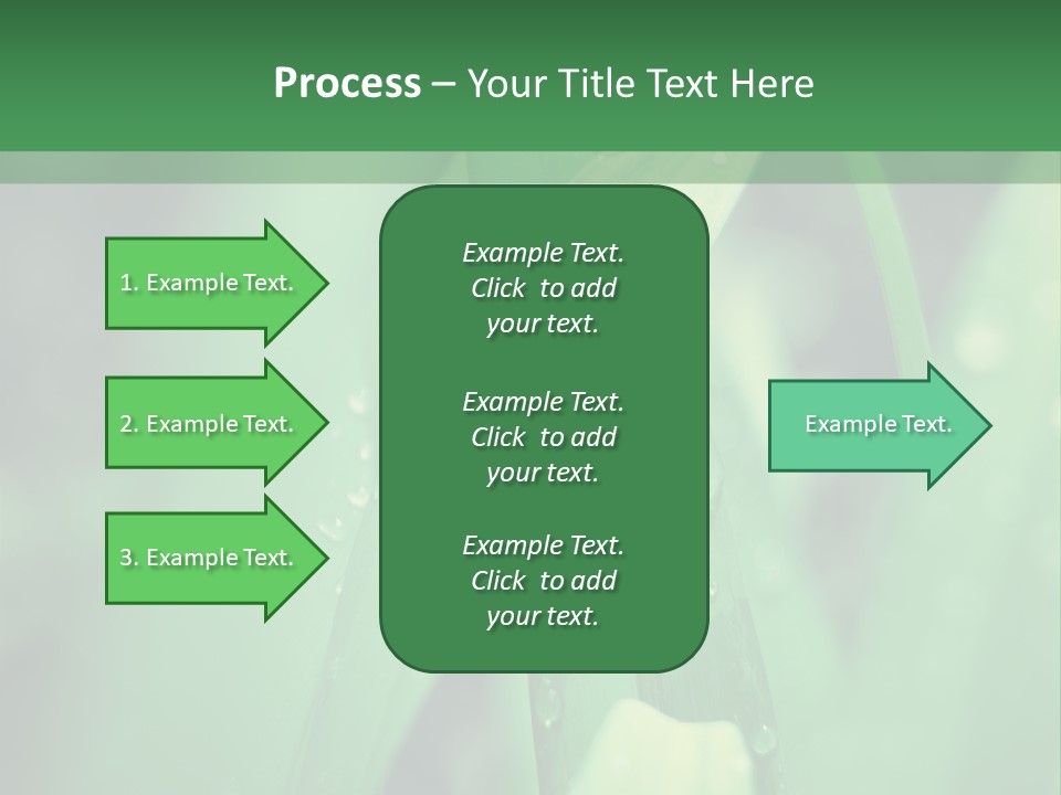 A Green Plant With Drops Of Water On It PowerPoint Template