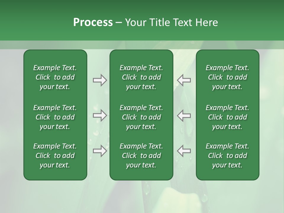 A Green Plant With Drops Of Water On It PowerPoint Template