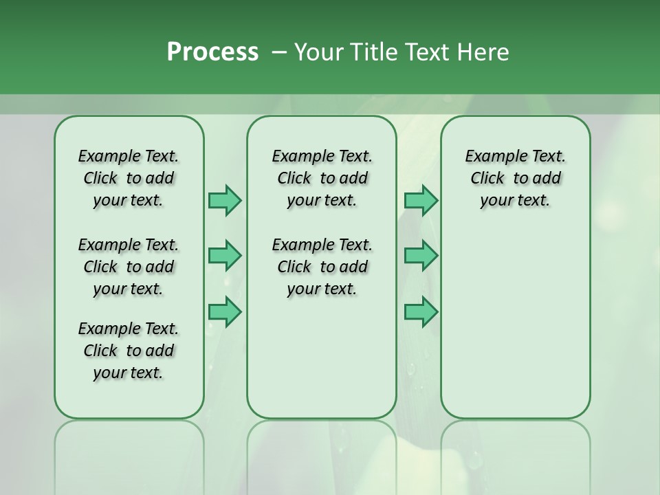 A Green Plant With Drops Of Water On It PowerPoint Template