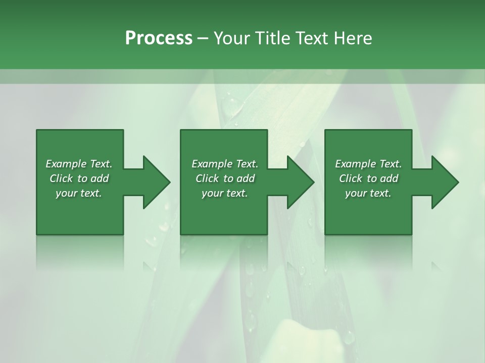 A Green Plant With Drops Of Water On It PowerPoint Template