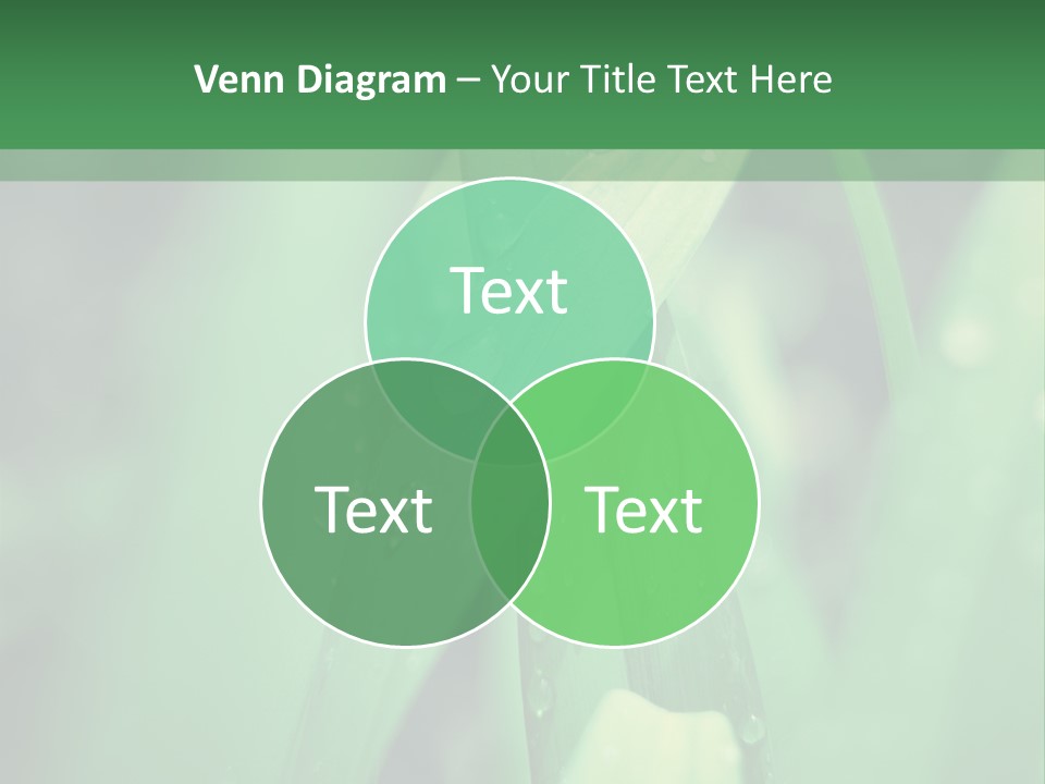 A Green Plant With Drops Of Water On It PowerPoint Template