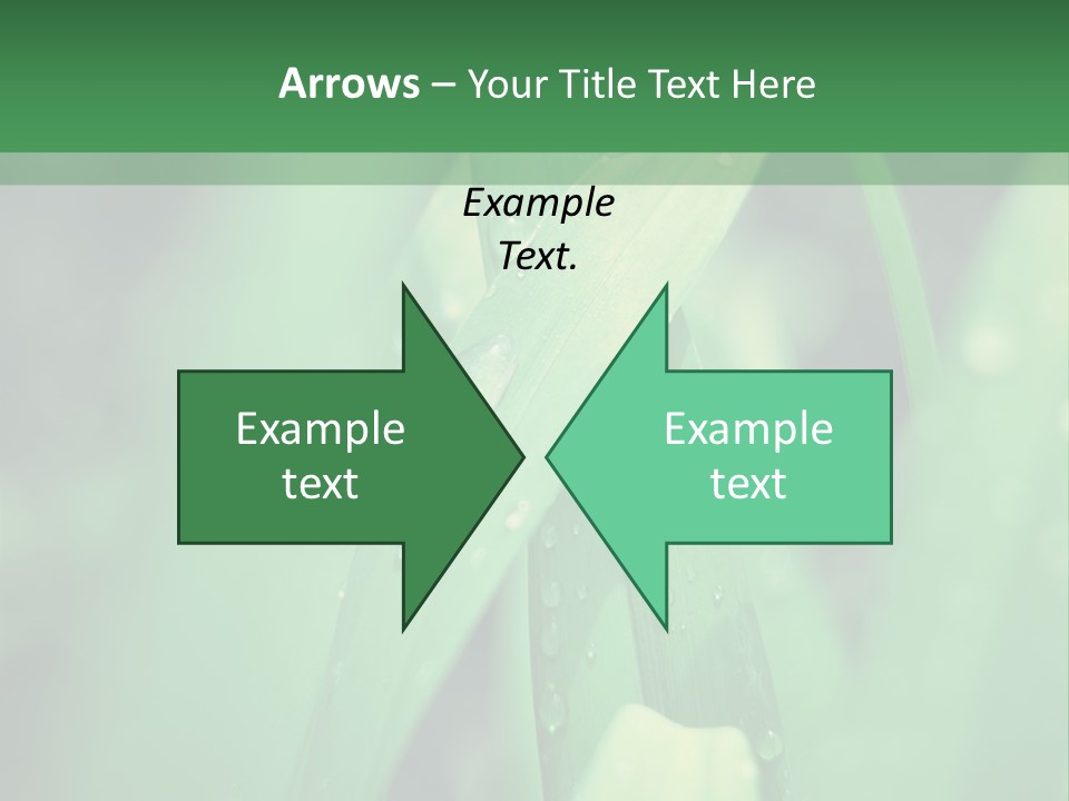 A Green Plant With Drops Of Water On It PowerPoint Template