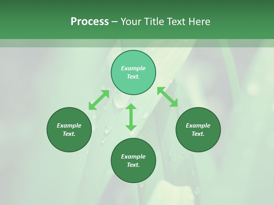 A Green Plant With Drops Of Water On It PowerPoint Template