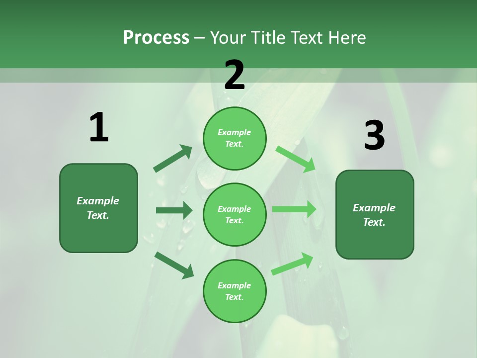 A Green Plant With Drops Of Water On It PowerPoint Template