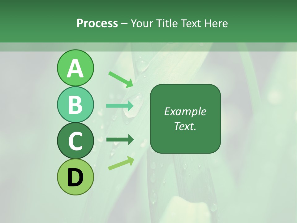 A Green Plant With Drops Of Water On It PowerPoint Template