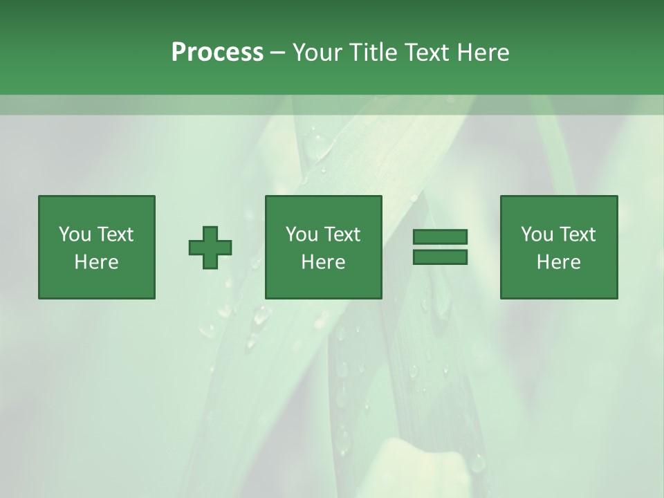 A Green Plant With Drops Of Water On It PowerPoint Template
