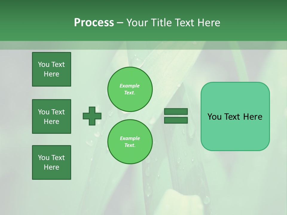 A Green Plant With Drops Of Water On It PowerPoint Template