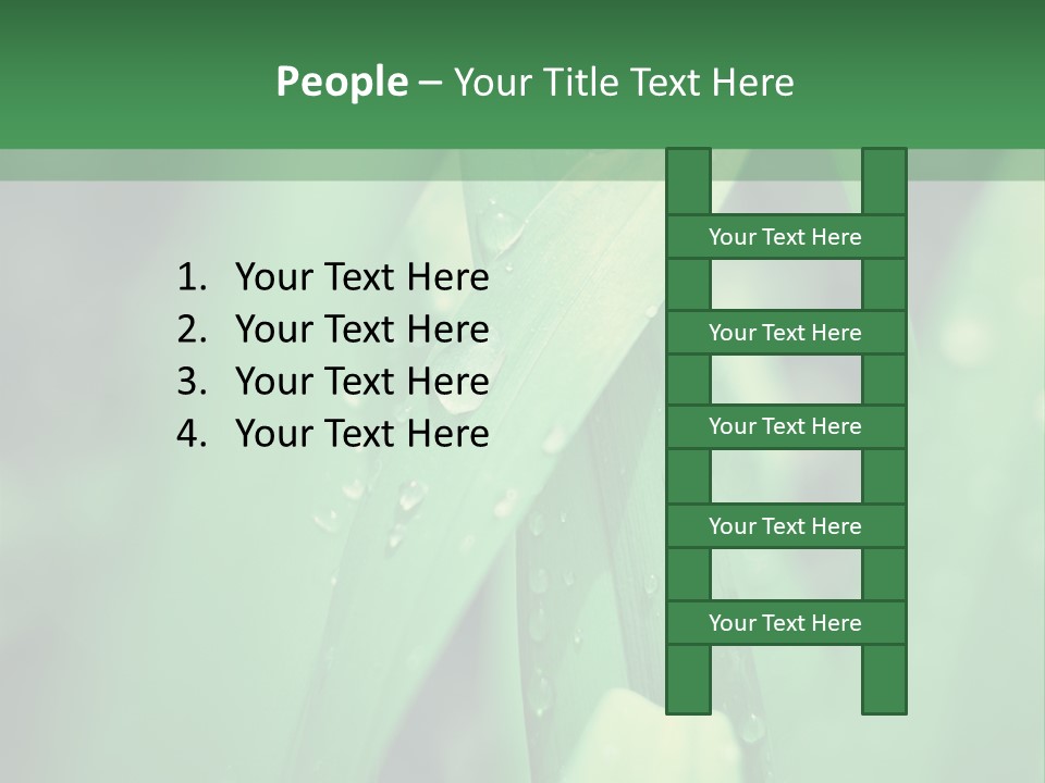 A Green Plant With Drops Of Water On It PowerPoint Template