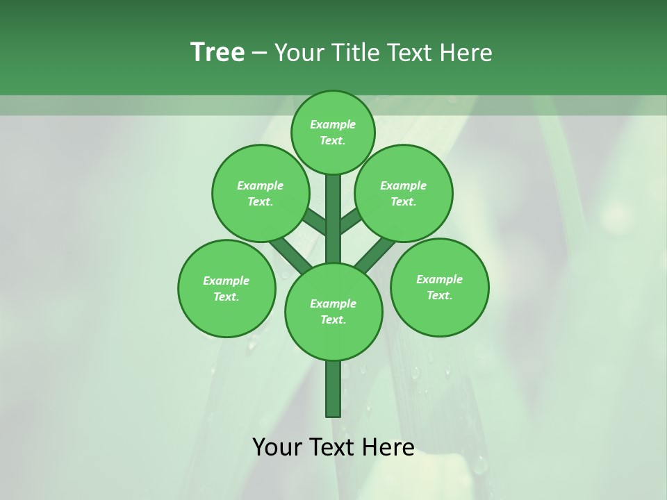 A Green Plant With Drops Of Water On It PowerPoint Template
