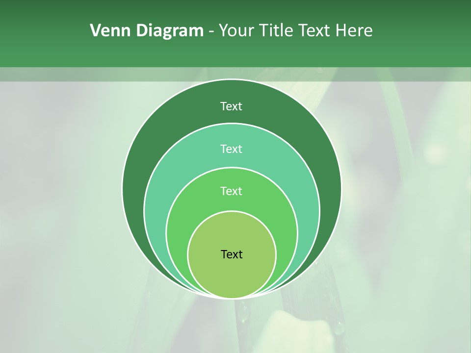 A Green Plant With Drops Of Water On It PowerPoint Template