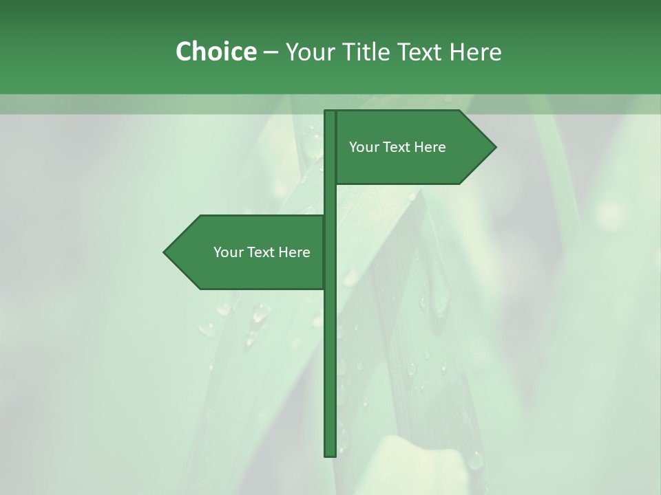 A Green Plant With Drops Of Water On It PowerPoint Template