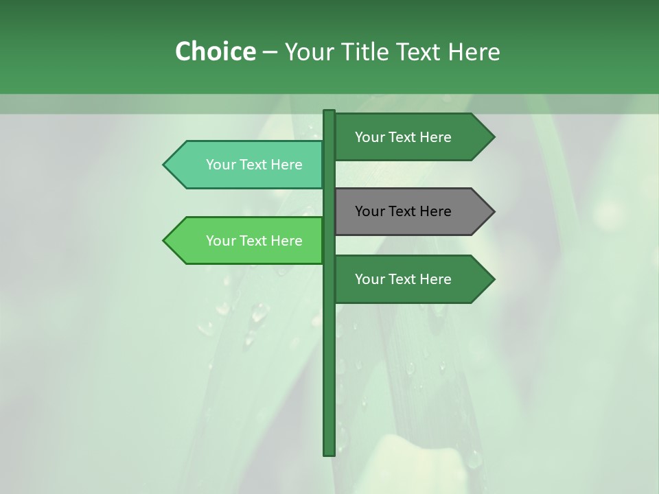 A Green Plant With Drops Of Water On It PowerPoint Template