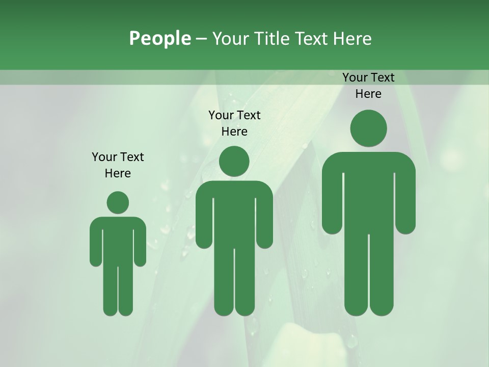 A Green Plant With Drops Of Water On It PowerPoint Template