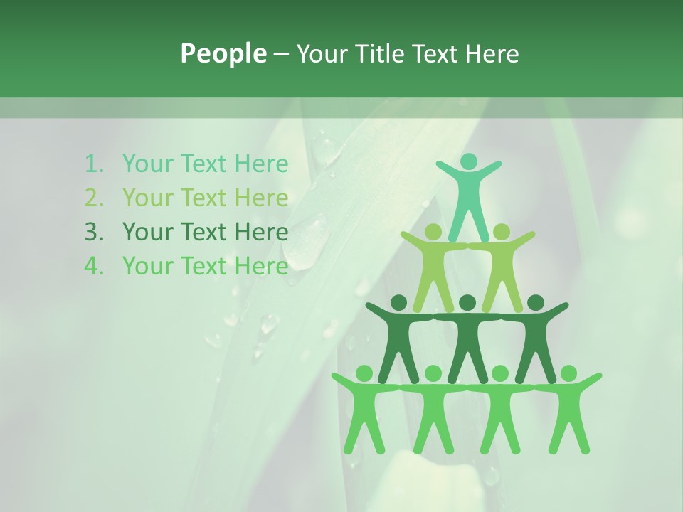 A Green Plant With Drops Of Water On It PowerPoint Template