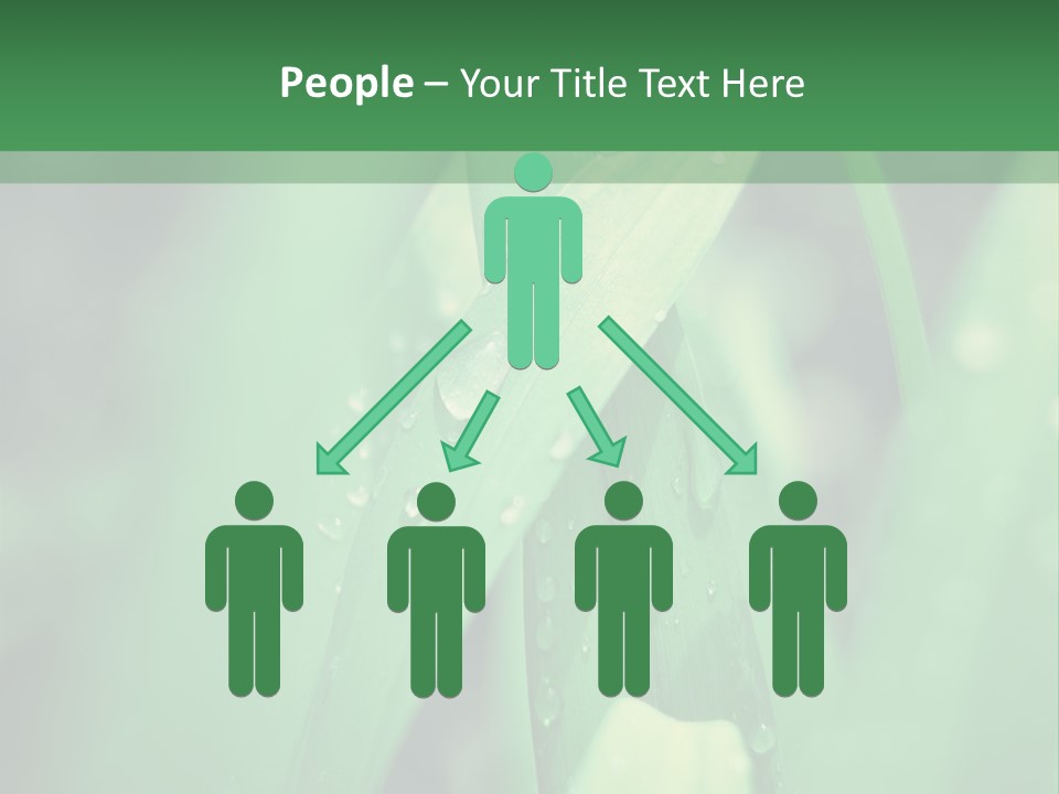 A Green Plant With Drops Of Water On It PowerPoint Template