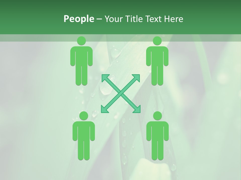 A Green Plant With Drops Of Water On It PowerPoint Template