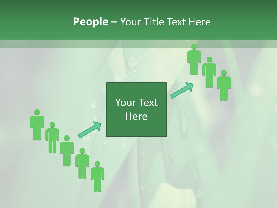 A Green Plant With Drops Of Water On It PowerPoint Template