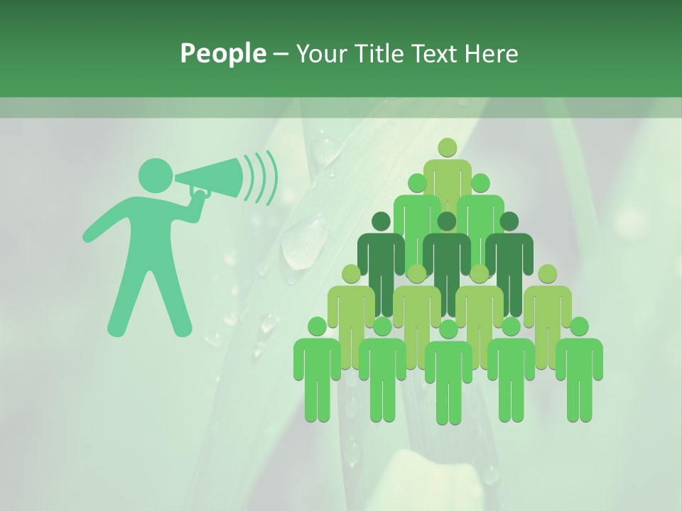 A Green Plant With Drops Of Water On It PowerPoint Template